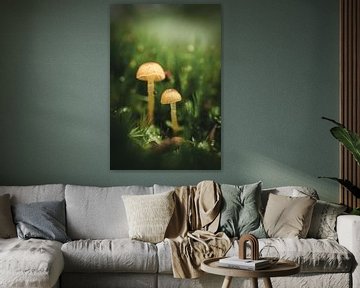 Twee paddenstoelen van Jan Eltink