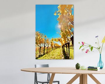 Gele herfstverkleurde wijnstokken van Markus Jerko
