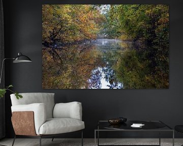 Reflet des arbres aux couleurs de l'automne dans le fossé de la forêt de Robbenoord sur Bram Lubbers