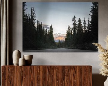 Laatste zonlicht in de Rocky Mountains | reisfotografie Canada | Revelstoke | Fotobehang van Laura Dijkslag