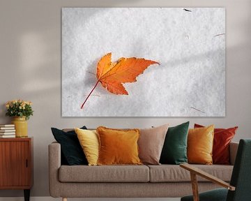 A maple leaf on the snow by Claude Laprise