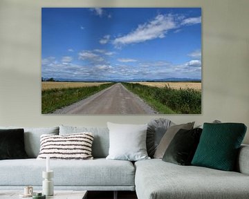 A country road in summer by Claude Laprise