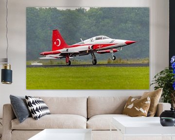 Northrop F-5 Freedom Fighter von den Turkish Stars. von Jaap van den Berg