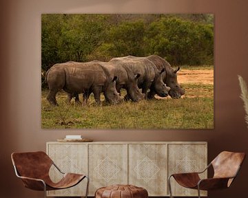 Group of rhinos by Joyce den Hollander