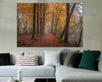 Autumn Forest Drunen by Zwoele Plaatjes