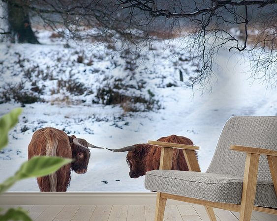 Raumvorschau
