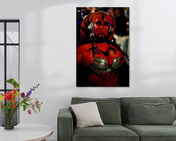 Aperçu de la chambre