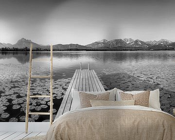 Seerosen am Hopfensee in Bayern in schwarzweiß