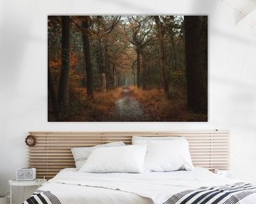 Herfst in het bos van Oranjewoud van Ytje Veenstra