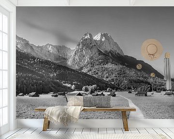 Almwiesen in den Bergen bei Garmisch Partenkirchen in schwarzwei