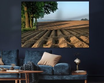 Vlaamse Ardennen van Edzo Boven