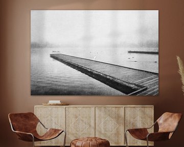 Schwarz-Weiß-Foto mit einem Schwan im Wasser von Imaginative