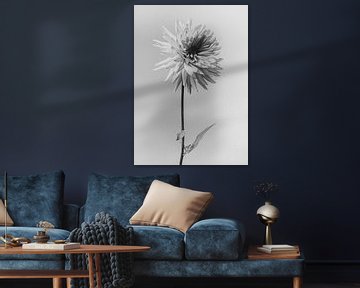 Kunstfotografie  von Flower artist Sander van Laar