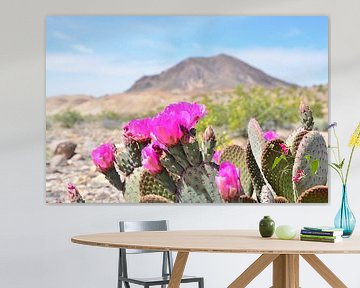 Desert flower