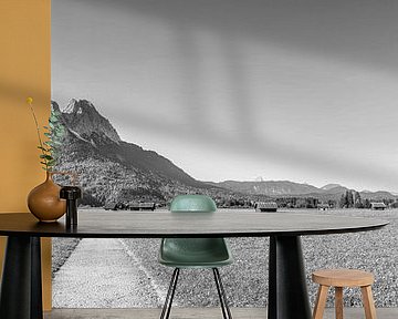 Almwiesen mit Holzhütten bei Garmisch Partenkirchen in schwarzweiß