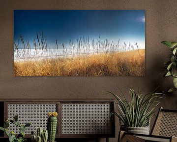 Strand aan zee met duinen in het zonlicht van Voss fotografie