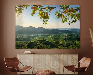 Collines du Prosecco, vue sur les vignobles. Italie sur Stefano Orazzini