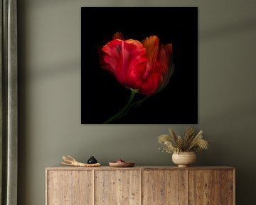 Malerische rote Tulpe von Ytje Veenstra