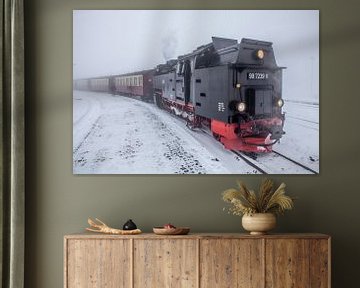 De Brockenbahn bij station Brocken (Saksen-Anhalt) van t.ART