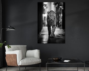 Jaguar op de weg