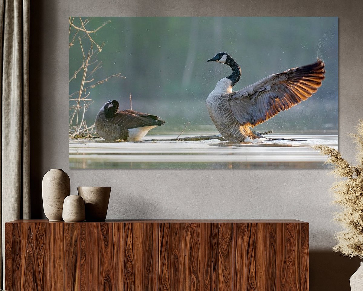Voorbeeld van het werk in een kamer
