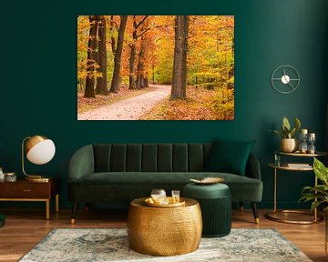 Pfad durch einen Buchenwald mit goldenen Blättern im Herbst von Sjoerd van der Wal Fotografie