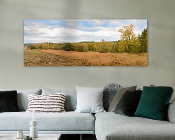 Panoramic view over the Loenermark in the Veluwe nature reserve  by Sjoerd van der Wal Photography