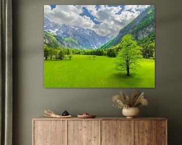 Logar vallei in de Kamnik Savinja Alpen in Slovenië