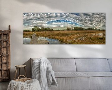 Panorama foto van het Buurserzand van Jerry Bouwmeester