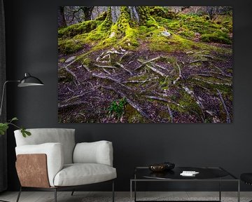 Roots of an old tree covered in moss by gaps photography