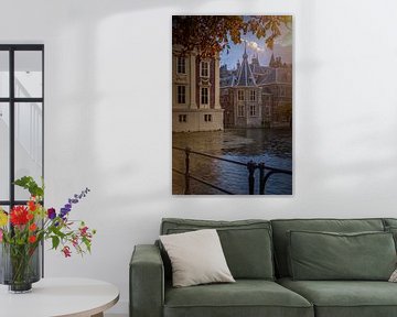 Mauritshuis and prime minister's turret on Hofvijver in The Hague by gaps photography