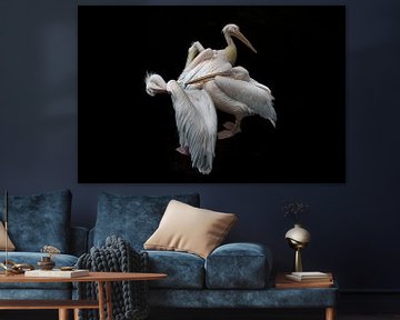 Pelikanen. van Ruud Krispijn