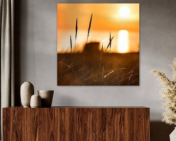 Dune grass at sunrise by the sea on the Baltic Sea by Voss Fine Art Fotografie