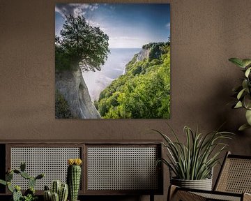 Chalk cliffs on Rügen in the sunlight by Voss Fine Art Fotografie