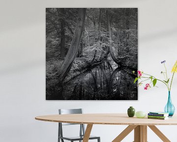 Forest passage by Enrico Veneziano