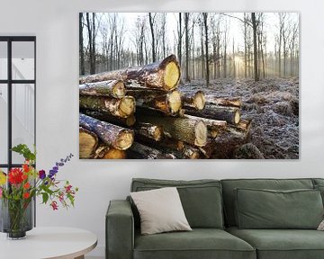 Bäume fällen in einem winterlichen Nebelwald von Egon Zitter