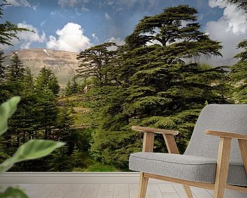 Zedernwald im Libanon von Imageditor