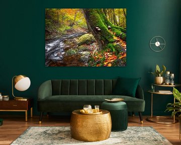 Herbstlicher Flussbaum mit Moos von Peschen Photography