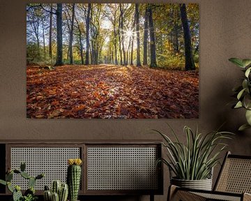 Zonnestralen op een tapijt van warme herfstbladeren van N-Joy Pictures