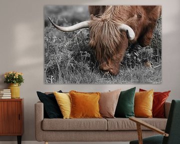 Schottischer Highlander, auch bekannt als Highland Cow von Rini Kools