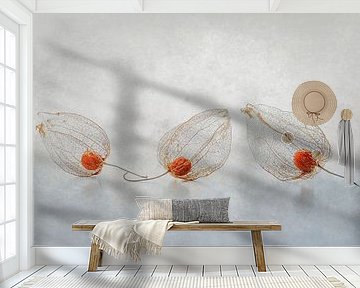 Physalis trio van Ytje Veenstra