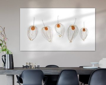 Physalis quintet van Ytje Veenstra