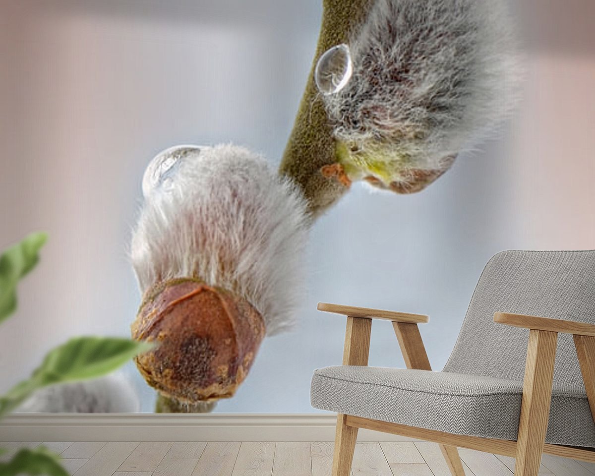 Raumvorschau