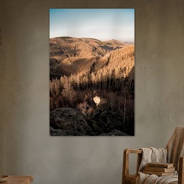 De zon licht de de bergen van de Harz op