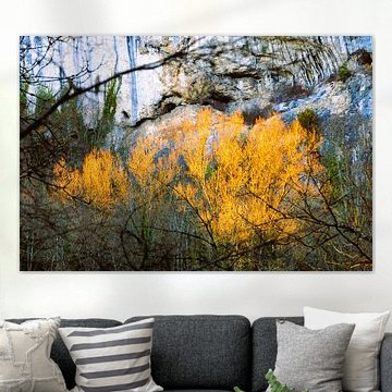 Golden Autumn