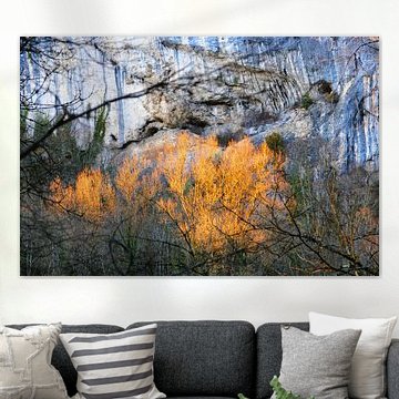 Un automne doré