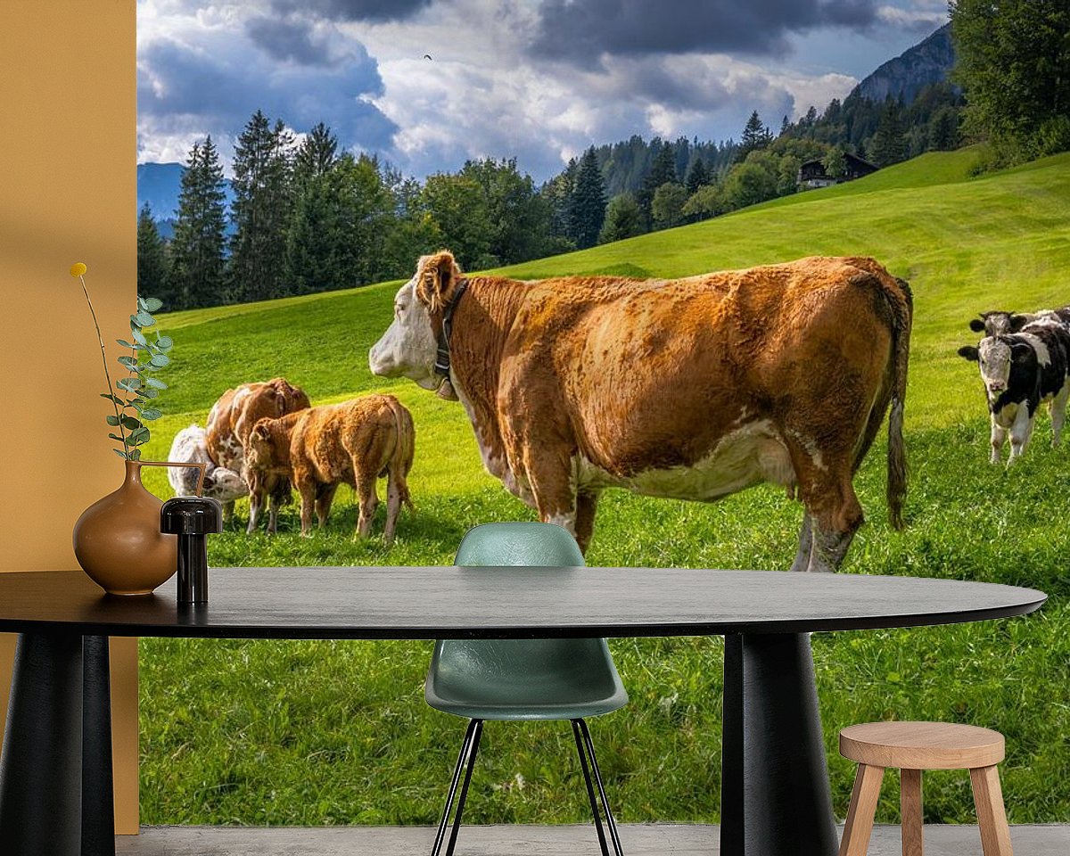 Raumvorschau