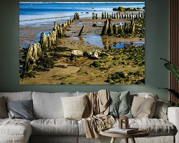 Groyne view on a secluded beach by Holger Felix