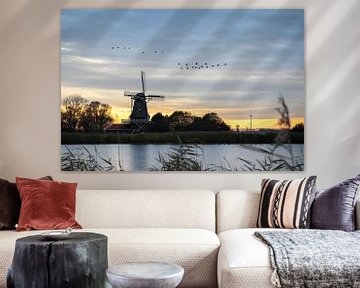 Mill Leonide surrounded by geese flying by during sunrise by Bram Lubbers