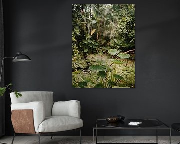 Jungle in de kas van Marika Huisman fotografie
